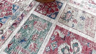 NEW My 18 year old 80lb body felt every inch of his BBC