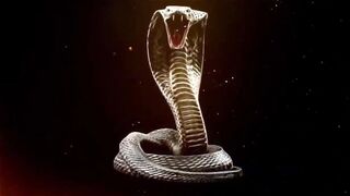 Southern Hotwife Fucking Pounded Like Hell By King Cobra Dick And Cuck