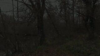 Stephanie Invites Over For Outdoor Mother Daughter Double Penetrations