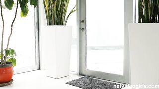 Net Video Girls - Jasmine Daze