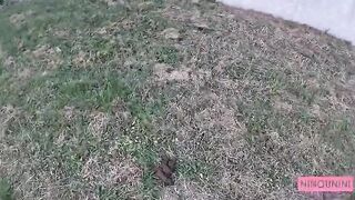 Ninounini Eating Dog Shit And Mine At A Highway Rest Area
