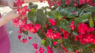 Jacquieetmicheltv Penelope 19 Years Old Cosmetics Sales Woman In Paris 11 08 2025