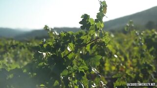 NEW Two naughty blondes fucked in the middle of a vineyard