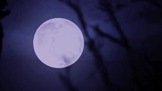 New SexMex Emily Thorne The Spooky Hot Clownette