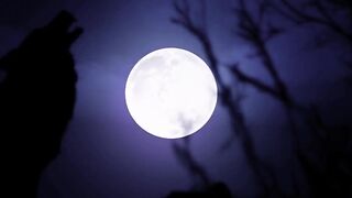 New SexMex Lina Henao Halloween Special The Ventriloquists Dummy