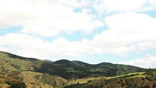 NEW Sweat Equity Vol. 3 2025 Chanel Camryn, Crystal Rush, Eliz Benson, Emma Hix, Christian Clay, Martin Spell, Mick Blue, Vince Karter