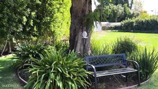 New Hailey Rose – First Boy In Neverland Fucks The Busty Fairy Of His Dreams